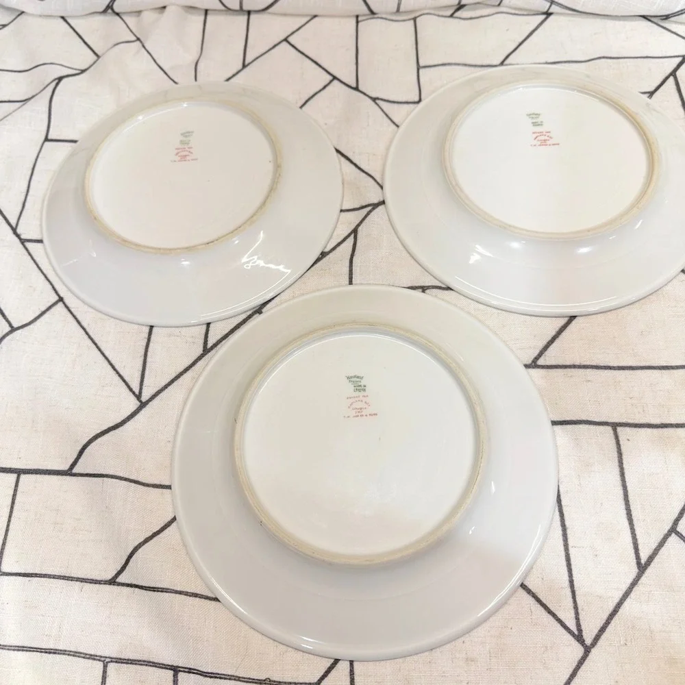 Haviland France Limoges‎ Plates 10